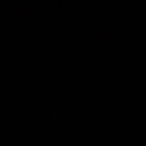 Nike Pro Shorts (Size L) LISTING FOR STELLA ONLY